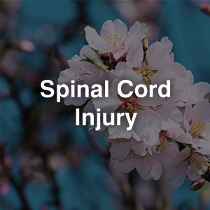 spinal-cord-injury